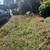 calmoperez yard work landscape 3 thumbnail