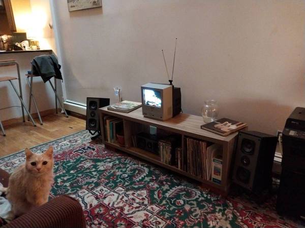 $700 / 3br - Bushwick apartment at Hart & Knickerbocker (Bushwick)63945497804291121