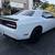 2017 Dodge Challenger R/T - V8 engine 10 thumbnail