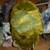 9 lbs.Thunderegg Rare Huge Half Face Cut Exceptional and Beautiful Uni 21 thumbnail