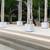 Wedding  - Birch log canopy 3 thumbnail