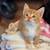 Sweet kittens 4 thumbnail