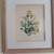 YELLOW POPPY LITHOGRAPH WITH WHITE OAK FRAME 2 thumbnail