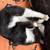 Male Tuxedo Kitten 3 thumbnail