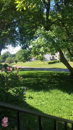 $900 / 3br - Furnished room in Dewitt (Dewitt)63982982876034121