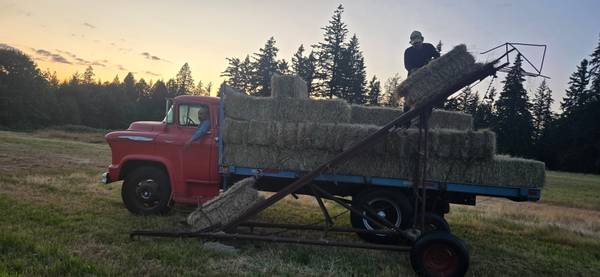 Red Clover/Timothy Hay - $325 (Boring)63471263568515122