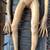 RARE ORIGINAL X-FILES TELEVISION SERIES AUTOPSY ALIEN 5 thumbnail