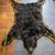 LARGE BLACK BEAR RUG 8 thumbnail