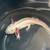 Available Axolotls 1 thumbnail