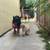 Two Loving Dogs Need a New Home – Goldendoodle & German Shepherd ($100 for eac 11 thumbnail