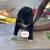 Rehoming puppies 7 thumbnail