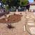 Landscape & Tree service 3 thumbnail