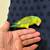 Parrotlet 2 thumbnail