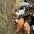Fainting , boer  goats 7 thumbnail