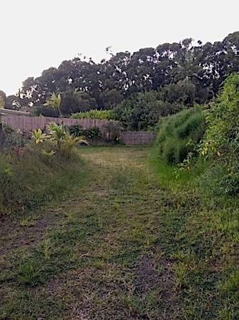 $1,300 / 250ft2 - Monthly - Private Bungalow Unattached - Small Suitable for One Person (haiku)63939666668547122