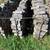 Firewood 1 thumbnail