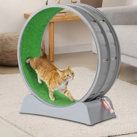 Cat Treadmill / Cat Running Wheel / Cat Exercise Wheel for indoor cats 1