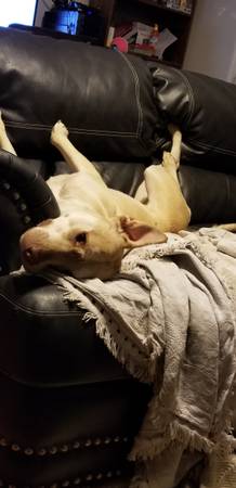 Loki - mix63671605589379124