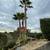 Tree service/landscaping/tractor  work, Woodside, portola,los altos,sa 8 thumbnail