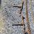 Load Chains and Ratcheting Tie Downs 3 thumbnail