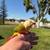 Birds 7 thumbnail