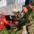Simplicity snowblower 2 thumbnail