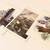 Watercolor Portait Cards. Wildlife of Canada’s Pacific Coast.ALL 3 for 1 thumbnail