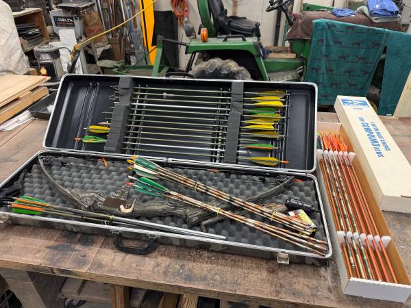 Compound Bow and arrows 1
