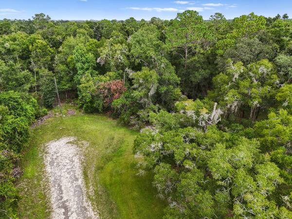 $85,000 5 ACRES FOR SALE IN SPANISH TRACE (Chiefland, FL)63823032340993121