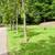 4 Cemetery Plots: Hollywood Memorial Park, 1500 Stuyvesant Ave, Union, 4 thumbnail