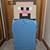 Minecraft Steve Costume 2 thumbnail