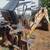 Bobcat 909 backhoe attachment 1 thumbnail