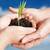 Fundraiser needed, SMS, Text, Auctions, Grants Work Trade Opt. 1 thumbnail