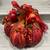 Field of Fruits Pumpkin Signature Fall Centerpiece 1 thumbnail