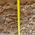 Restoration Hardware RH Rococo Wood Panel - RARE - Never used 5 thumbnail