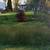 Unique residential lot by Fox River in Geneva, IL 5 thumbnail