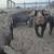 Pigs 1 thumbnail