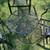 Beautiful Conversation Set Small Table and 3 Oversized Chairs 2 thumbnail
