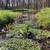 Nice Brick home on two acres with year round spring. 19 thumbnail