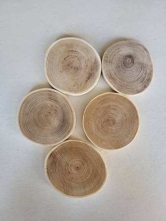 Wood Coasters 1