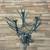 Mid-Century Modern Brutalist Coffee Table by Daniel Gluck 7 thumbnail