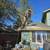 Local Tree Surgeon! Arbor Tree Service 3 thumbnail