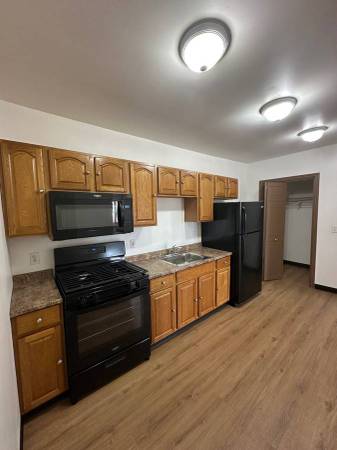 North Buffalo- Completely updated 1 Bedroom 1