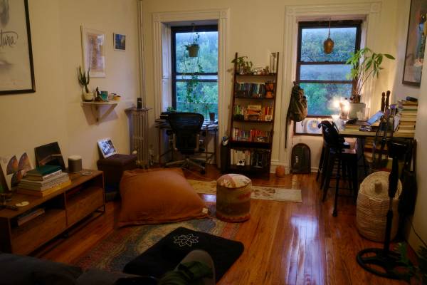 Cozy Furnished 1 BR Sublet in Crown Heights (Feb - by week or month)