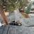 Stellar Window Cleaning, Gutters & more 5 thumbnail