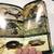 National Autobahn Society Field Guide/Reptiles/Amphibians Pictorial 4 thumbnail