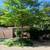 "SAILE" Landscaping 1 thumbnail