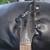 Guitar - First Act ME636 - used, good 7 thumbnail