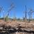 Forestry Technician 9 thumbnail