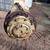 Planetary  drive axle 2 thumbnail